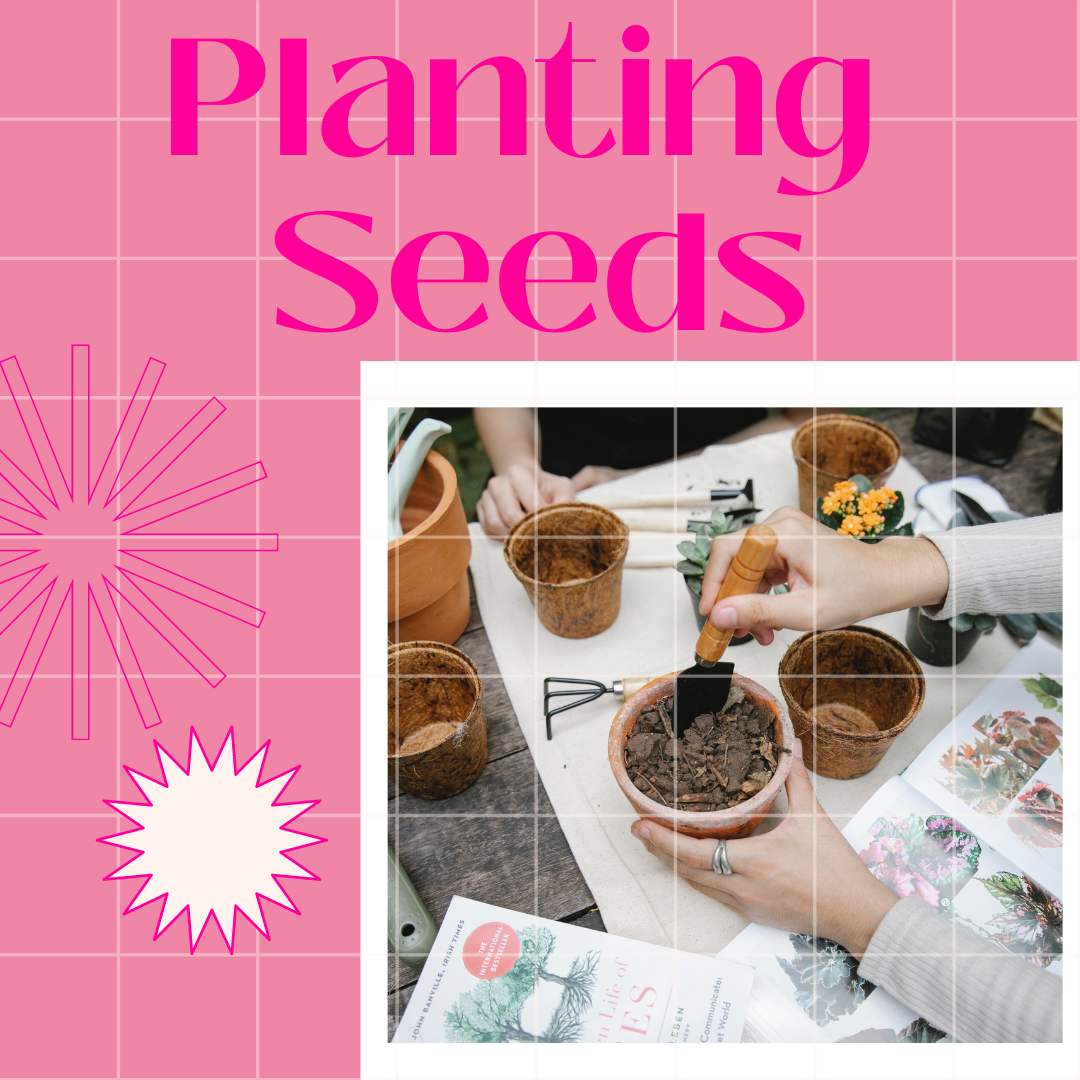 Together Tuesday | Planting Seeds